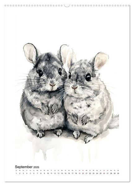 Produktbild: Waurick, K: Knuddlige Chinchillas (hochwertiger Premium Wand