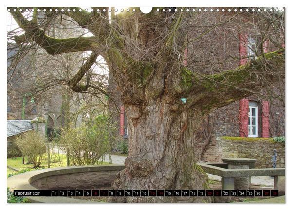 Produktbild: Dorflinden (Wandkalender 2027 DIN A3 quer), CALVENDO Monatskalender