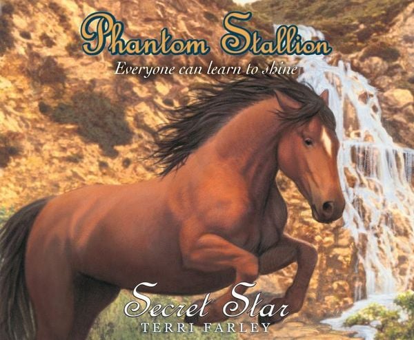 Produktbild: Phantom Stallion, 19: Secret Star