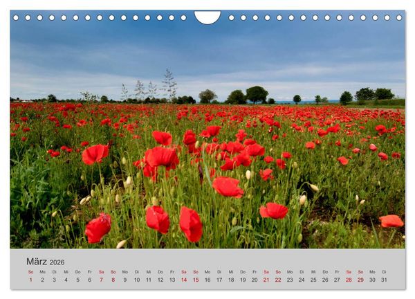 Produktbild: Die Sch&ouml;nheit der Bretagne (Wandkalender 2026 DIN A4 quer), CALVENDO Monatskalender