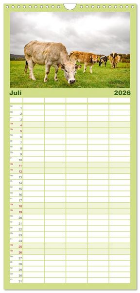 Produktbild: Familienplaner 2026 - Nationalpark Eifel - Sch&ouml;ne Tage im Gr&uuml;nen mit 5 Spalten (Wandkalender, 21 x 45 cm) CALVENDO