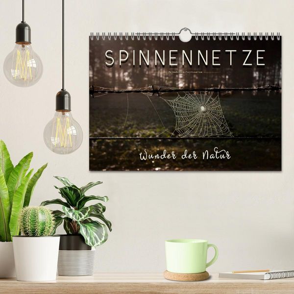 Produktbild: Spinnennetze - Wunder der Natur (Wandkalender 2026 DIN A4 quer), CALVENDO Monatskalender