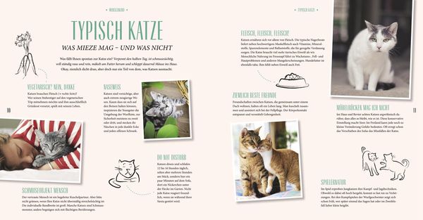 Produktbild: Katzen-Basics