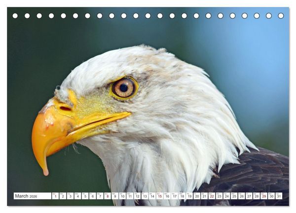 Produktbild: Wildlife of the Tundra (Desk Calendar 2026 DIN A5 landscape), CALVENDO 12 Month DeskCalendar