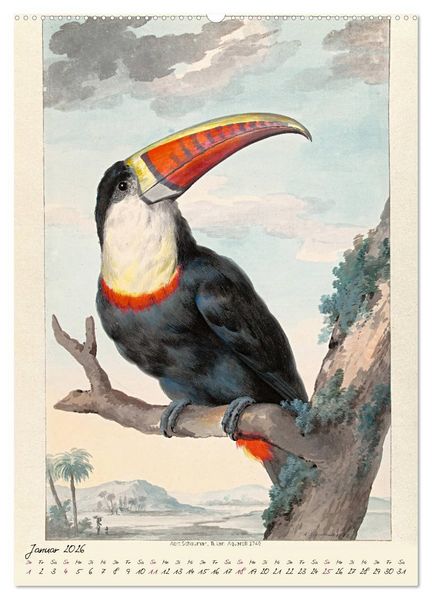 Produktbild: Aert Schouman. V&Ouml;GEL (Wandkalender 2026 DIN A2 hoch), CALVENDO Monatskalender