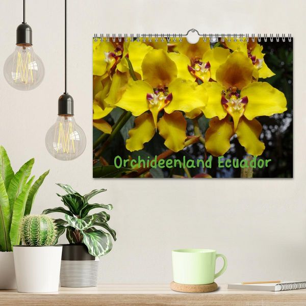 Produktbild: Orchideenland Ecuador (Wandkalender 2026 DIN A4 quer), CALVENDO Monatskalender