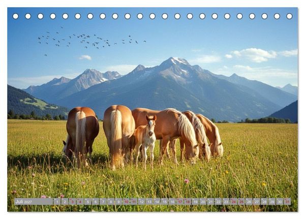 Produktbild: Alpent&auml;ler und Haflinger Pferde (Tischkalender 2027 DIN A5 quer), CALVENDO Monatskalender
