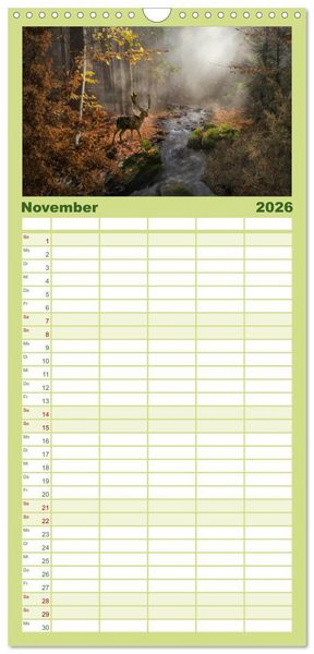 Produktbild: Familienplaner 2026 - Waldgeheimnisse mit 5 Spalten (Wandkalender, 21 x 45 cm) CALVENDO