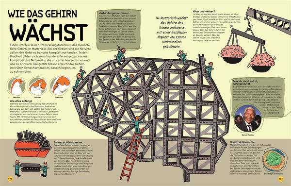 Produktbild: So funktioniert dein Superhirn