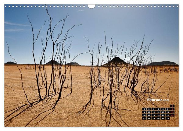 Produktbild: &Auml;gypten &ndash; westliche W&uuml;sten (Wandkalender 2026 DIN A3 quer), CALVENDO Monatskalender