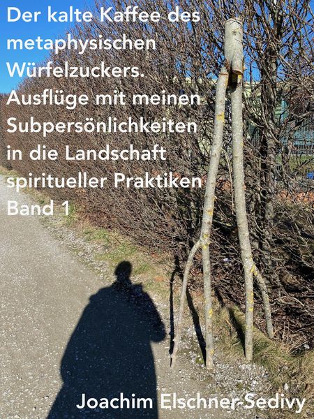 Produktbild: Der kalte Kaffee des metaphysischen W&uuml;rfelzuckers (Ausfl&uuml;ge mit meinen Subpers&ouml;nlichkeiten in die Landschaft spiritueller Praktiken, #1)