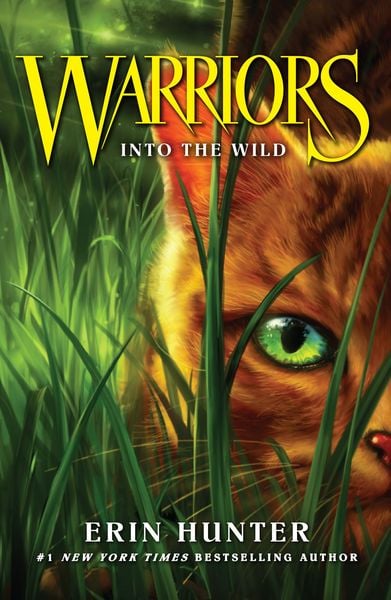 Produktbild: Into the Wild