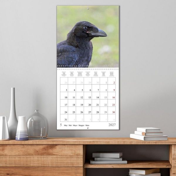 Produktbild: Crow Babies - Black, cute & always hungry (Wall Calendar 2027 12 &times; 12 Inch) CALVENDO 12 Month Wall Calendar