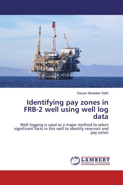 Produktbild: Identifying pay zones in FRB-2 well using well log data