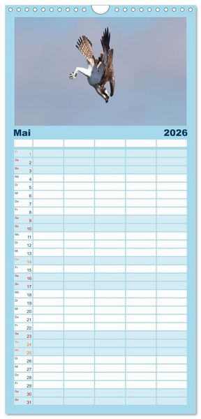 Produktbild: Familienplaner 2026 - Fischadler - Meister des Sturzfluges mit 5 Spalten (Wandkalender, 21 x 45 cm) CALVENDO