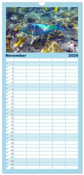 Produktbild: Familienplaner 2026 - Fische und Meerestiere mit 5 Spalten (Wandkalender, 21 x 45 cm) CALVENDO