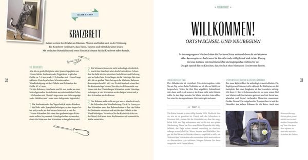 Produktbild: Katzen-Basics