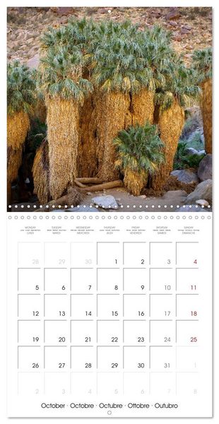 Produktbild: Dreaming California (Wall Calendar 2026 12 &times; 12 Inch) CALVENDO 12 Month Wall Calendar
