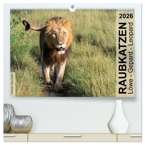 Produktbild: Raubkatzen - L&ouml;we, Gepard, Leopard (hochwertiger Premium Wandkalender 2026 DIN A2 quer), Kunstdruck in Hochglanz