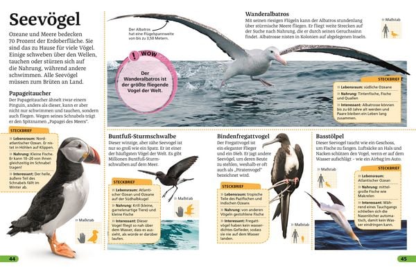 Produktbild: Superchecker! V&ouml;gel