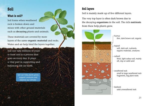 Produktbild: A Finders' Guide to Rocks, Fossils and Soils