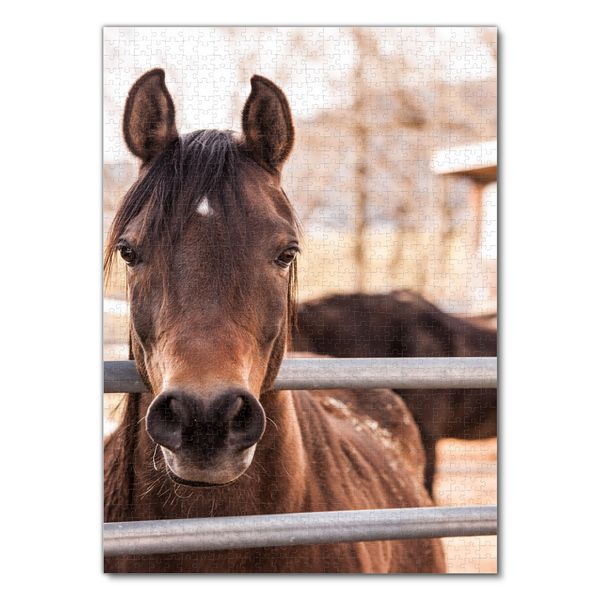 Produktbild: Lais Puzzle Thoroughbred Horse 1000 Teile