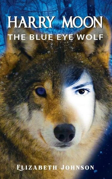 Produktbild: Harry Moon: The Blue Eye Wolf