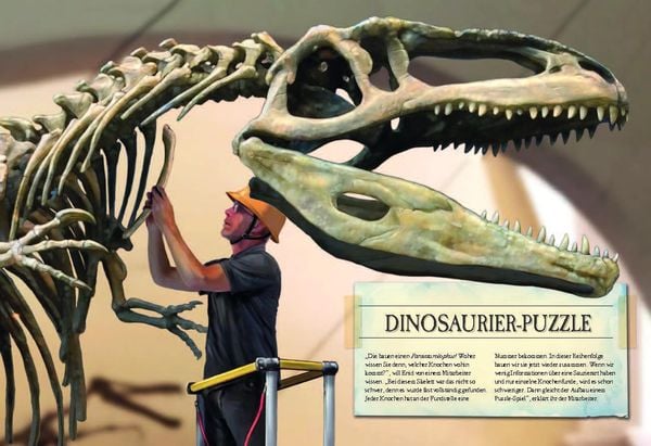 Produktbild: Verborgene Welt der Dinosaurier