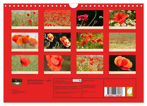 Produktbild: Mohnblumen - rote Sch&ouml;nheiten (Wandkalender 2026 DIN A4 quer), CALVENDO Monatskalender