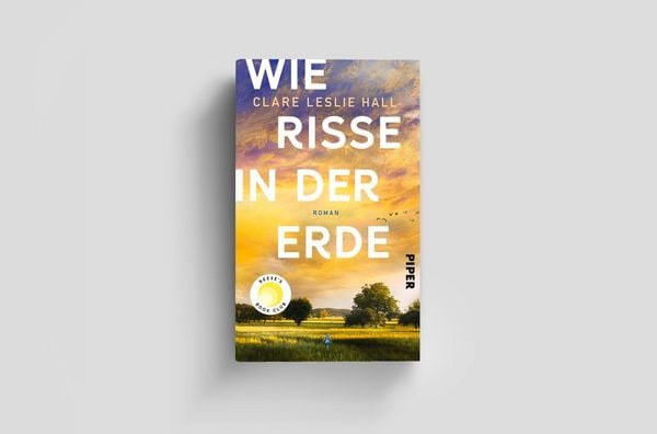 Wie Risse in der Erde