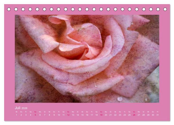 Produktbild: Romantische Rosen (Tischkalender 2026 DIN A5 quer), CALVENDO Monatskalender