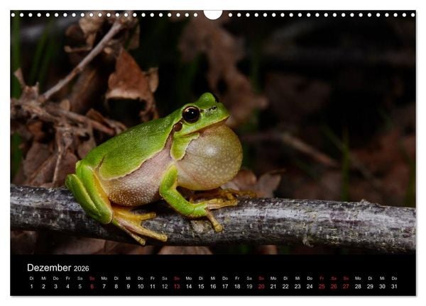 Produktbild: Fr&ouml;sche (Wandkalender 2026 DIN A3 quer), CALVENDO Monatskalender
