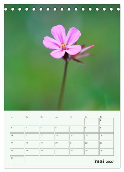 Produktbild: Fleurs en toute simplicit&eacute; - Beaut&eacute; minimaliste (Calendrier de bureau 2027 DIN A5 horizontal), CALVENDO calendrier mensuel