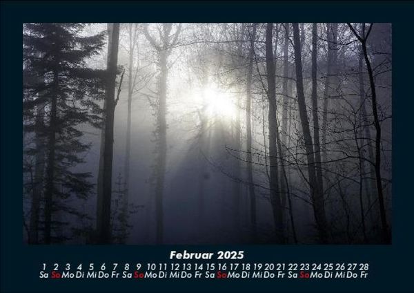 Produktbild: Waldzauber 2025 Fotokalender DIN A5