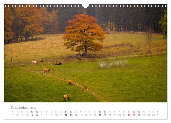 Produktbild: Wundersch&ouml;ne B&auml;ume im Sauerland (Wandkalender 2026 DIN A3 quer), CALVENDO Monatskalender