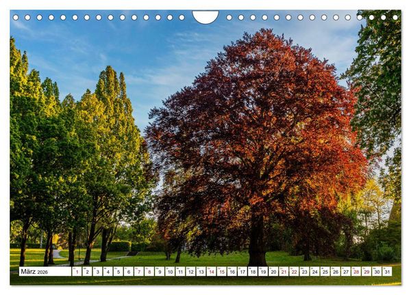 Produktbild: Heilbad Heiligenstadt Stadtansichten (Wandkalender 2026 DIN A4 quer), CALVENDO Monatskalender