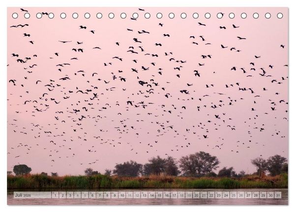Produktbild: NAMIBIA Christian Heeb (Tischkalender 2026 DIN A5 quer), CALVENDO Monatskalender