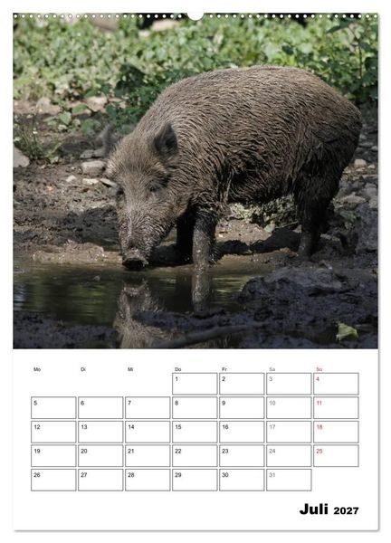 Produktbild: Der wildschweinische Terminplaner (hochwertiger Premium Wandkalender 2027 DIN A2 hoch), Kunstdruck in Hochglanz