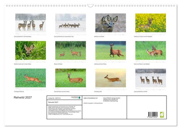 Produktbild: Rehwild 2027 (Wandkalender 2027 DIN A2 quer), CALVENDO Monatskalender