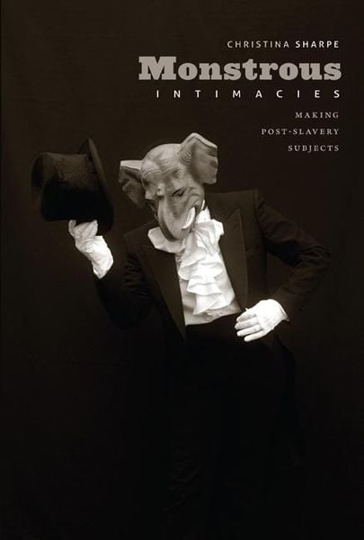 Produktbild: Monstrous Intimacies