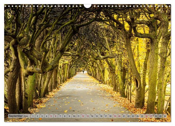 Produktbild: Dreistadt - Danzig, Gdingen, Zoppot (Wandkalender 2026 DIN A3 quer), CALVENDO Monatskalender