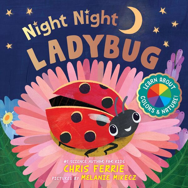 Produktbild: Night Night Ladybug