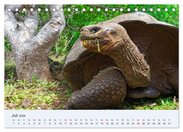 Produktbild: Entdecke Galapagos (Tischkalender 2026 DIN A5 quer), CALVENDO Monatskalender
