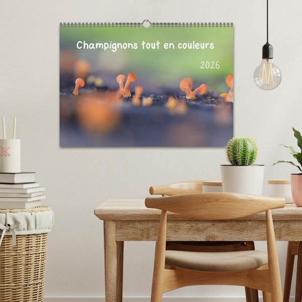 Produktbild: Champignons tout en couleurs (Calendrier mural 2026 DIN A3 vertical), CALVENDO calendrier mensuel