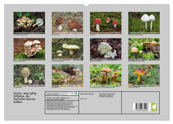 Produktbild: Sch&ouml;n, aber giftig. Giftpilze, die Sammler kennen sollten. (hochwertiger Premium Wandkalender 2027 DIN A2 quer), Kunstdruck in Hochglanz