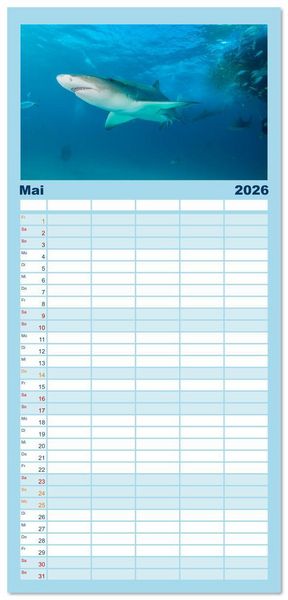 Produktbild: Familienplaner 2026 - Haie - Vorsicht gef&auml;hrlich! mit 5 Spalten (Wandkalender, 21 x 45 cm) CALVENDO