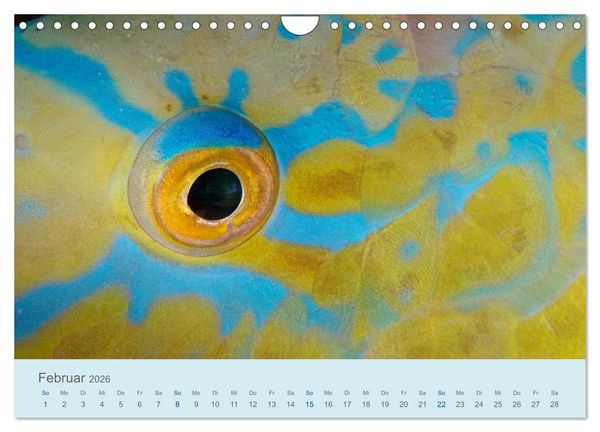 Produktbild: Abenteuer Unterwasser (Wandkalender 2026 DIN A4 quer), CALVENDO Monatskalender