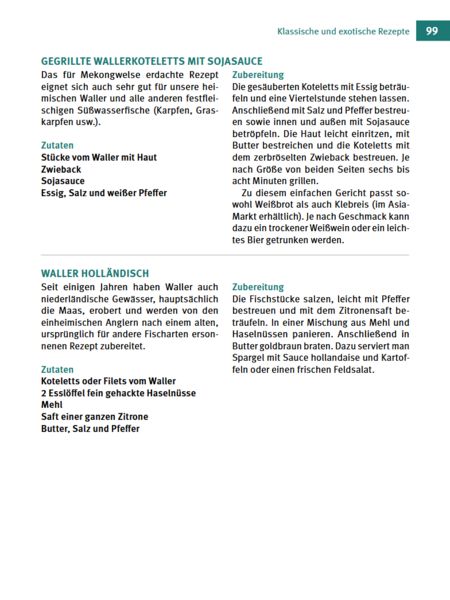 Produktbild: Welse - Giganten unserer Gew&auml;sser