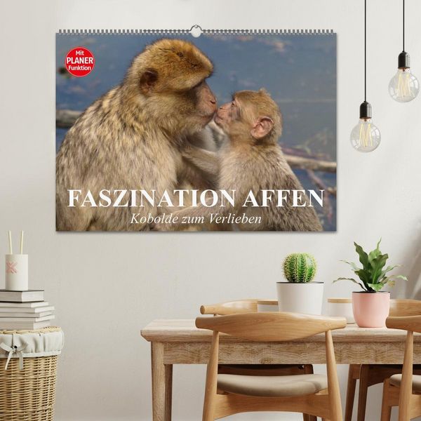 Produktbild: Faszination Affen. Kobolde zum Verlieben (Wandkalender 2026 DIN A2 quer), CALVENDO Monatskalender