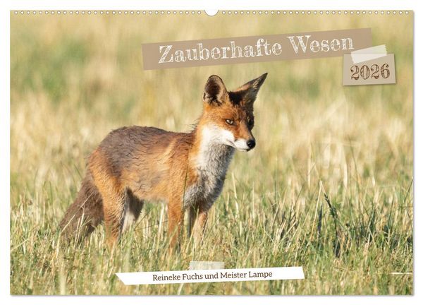 Produktbild: Zauberhafte Wesen - Reineke Fuchs und Meister Lampe (Wandkalender 2026 DIN A2 quer), CALVENDO Monatskalender